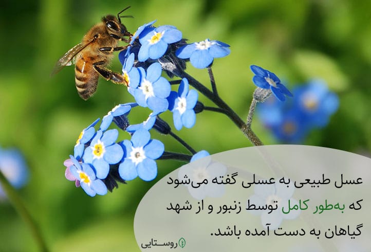 عسل طبیعی حاصل از شهد گیاهان