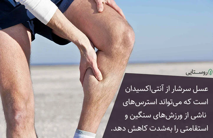 آنتی اکسیدان عسل و جلوگیری از آسیب به عضلات