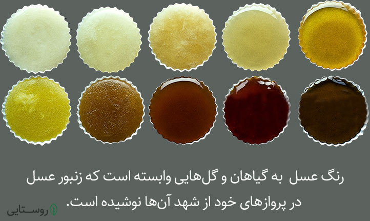 رنگ انواع عسل های طبیعی