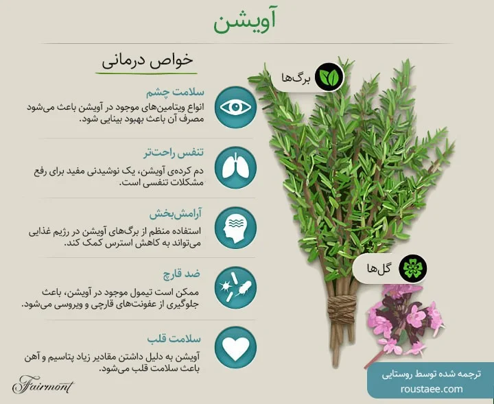 خواص گیاه آویشن