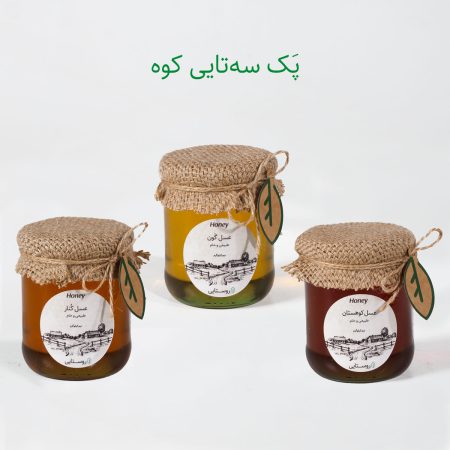 پک عسل های طبیعی کوه