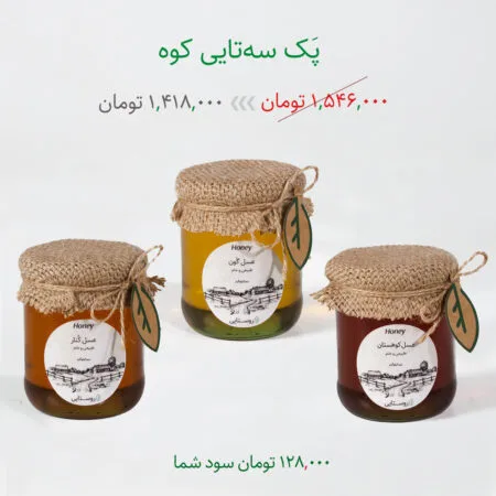 پک سه تایی عسل های کوه روستایی