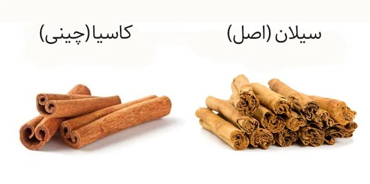 تفاوت دارچین کاسیا و دارچین سیلان