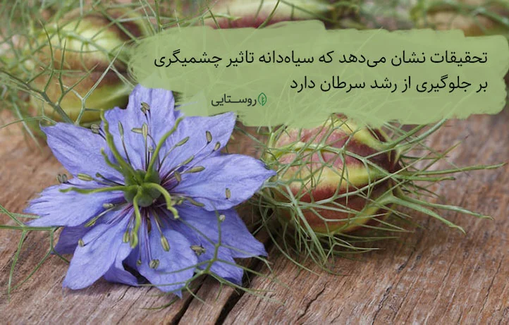 تاثیر سیاه دانه بر روی سرطان