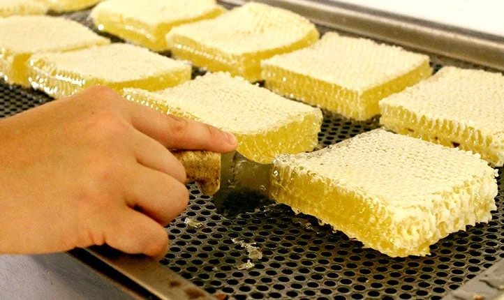 عسل با موم بهتر است یا بدون موم