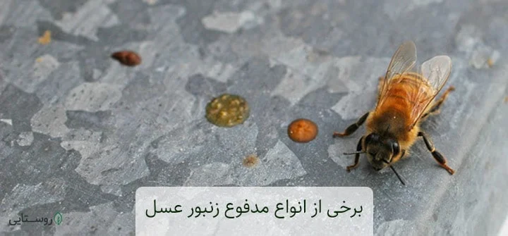 برخی از نمونه های مدفوع زنبور عسل