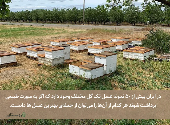 انواع مختلف از بهترین عسل های ایران