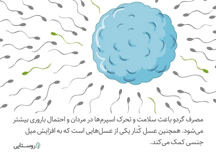 افزایش باروری با معجون عسل و گردو