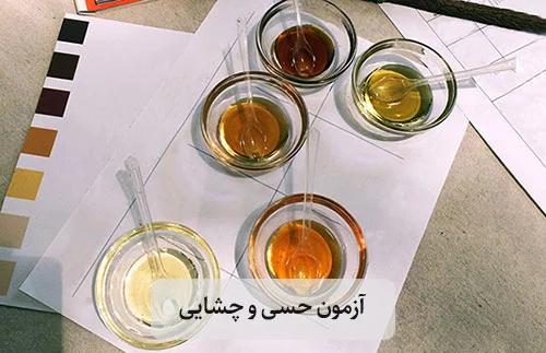 آزمون حسی و چشایی عسل‌ های روستایی توسط یک متخصص