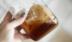 از بین بردن شکرک عسل