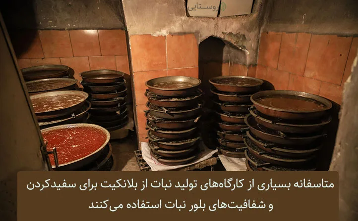 نبات حاوی بلانکیت