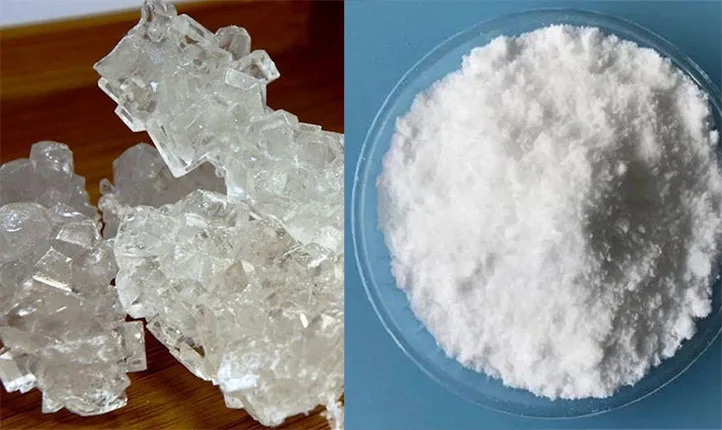 بلانکیت و نبات