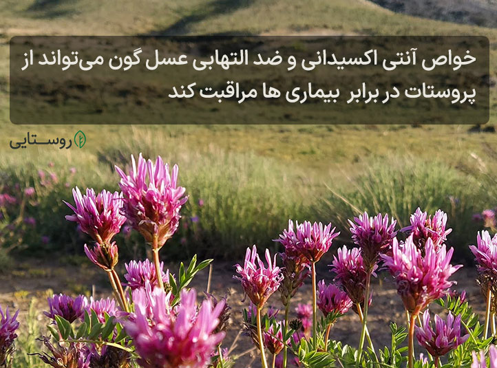 عسل گون برای مردان
