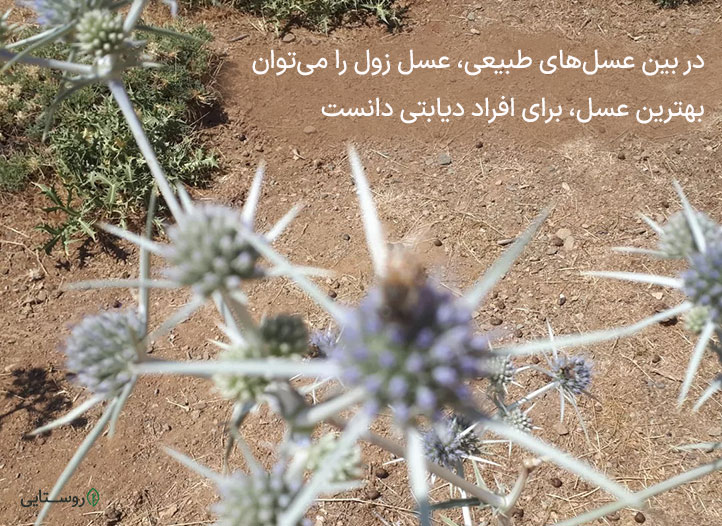 عسل زول برای دیابت