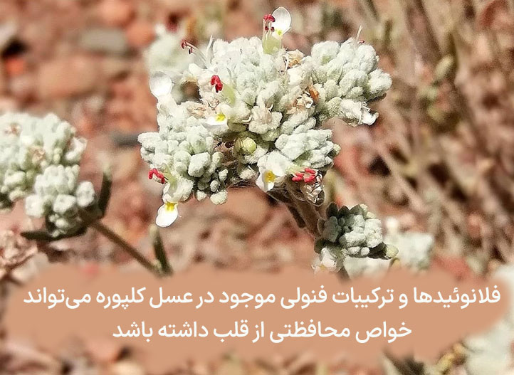 عسل کلپوره برای قلب