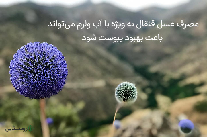 خواص عسل قنقال برای یبوست